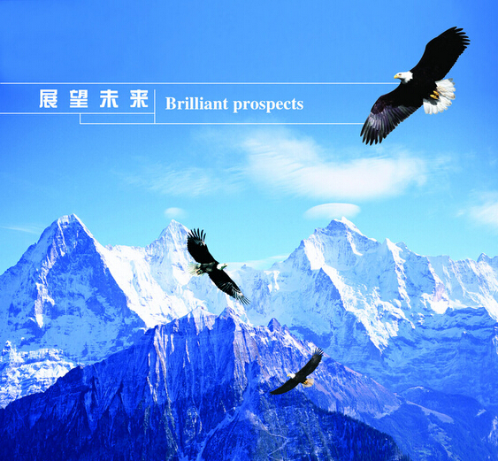 河北萬(wàn)環(huán)環(huán)?？萍加邢薰?></a>
            </dt>
            <dd>
                <h4><a href=